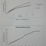 Biotec bags biodegradability Test - Biodegradation rate