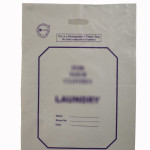 Compostable bio-degradable laundry bag