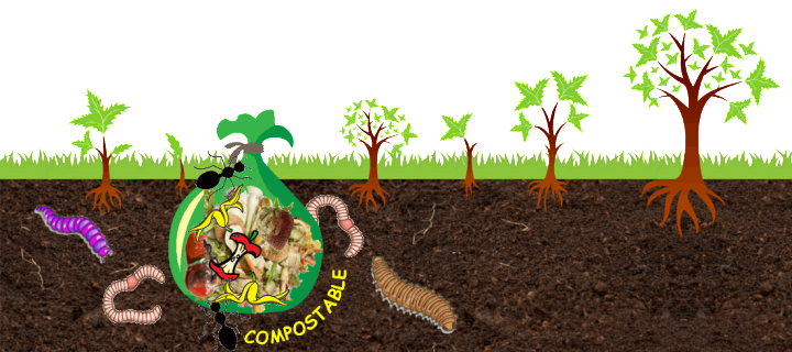 A revolutionary, compostable plastic bag…